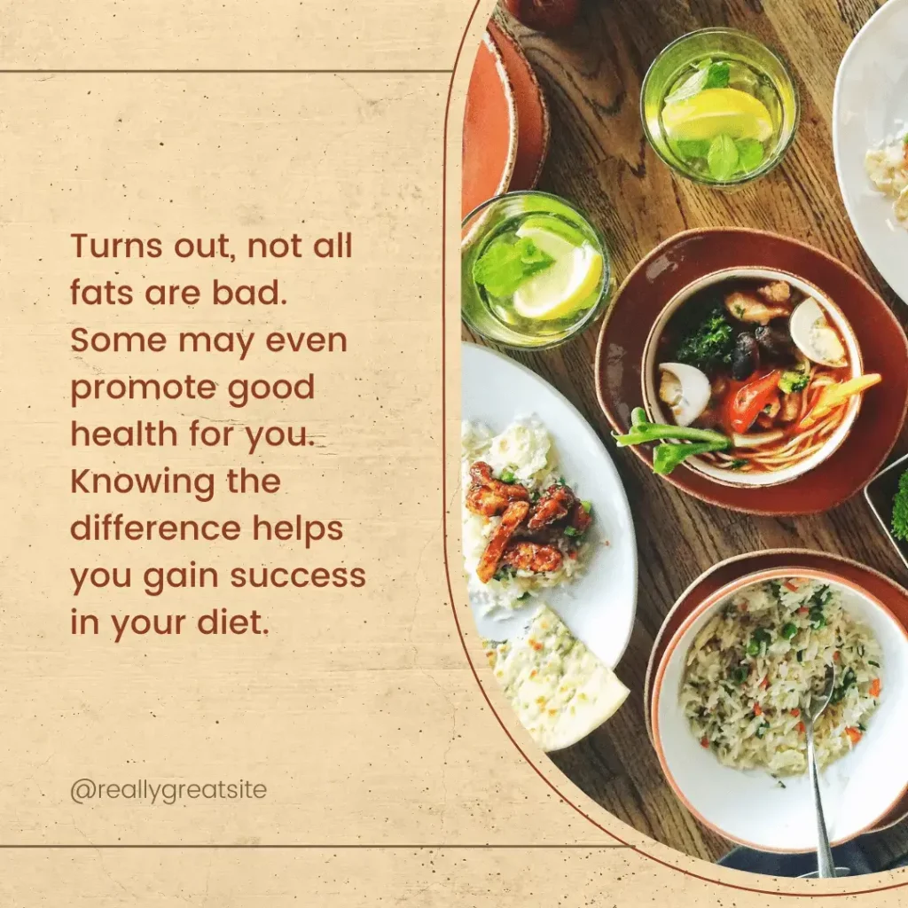 The 4 Important Functions of Fats for Optimal Health